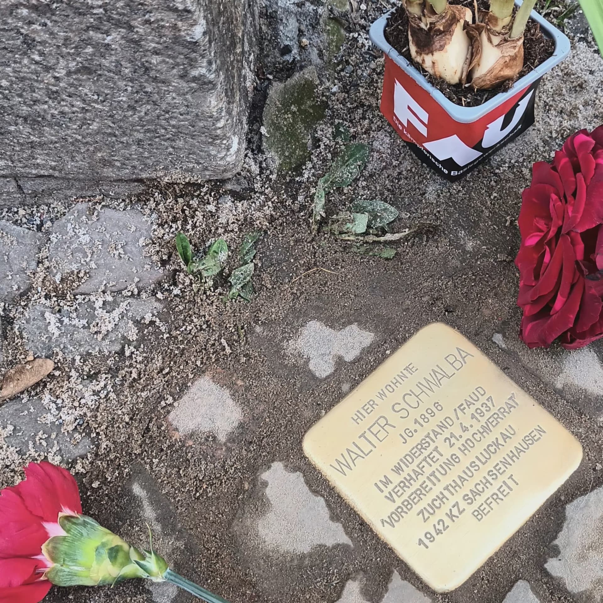 Stolpersteinverlegung: Walter Schwalba