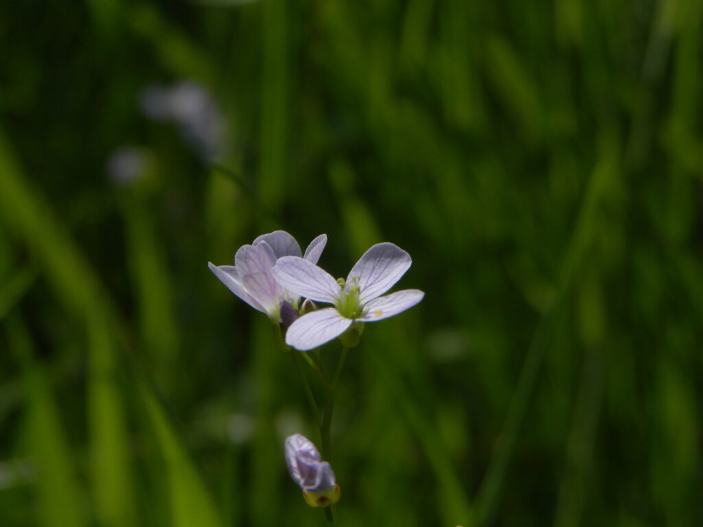 Saisonarbeiter lag zwei Tage ohne Hilfe auf dem Boden – jetzt ist er tot