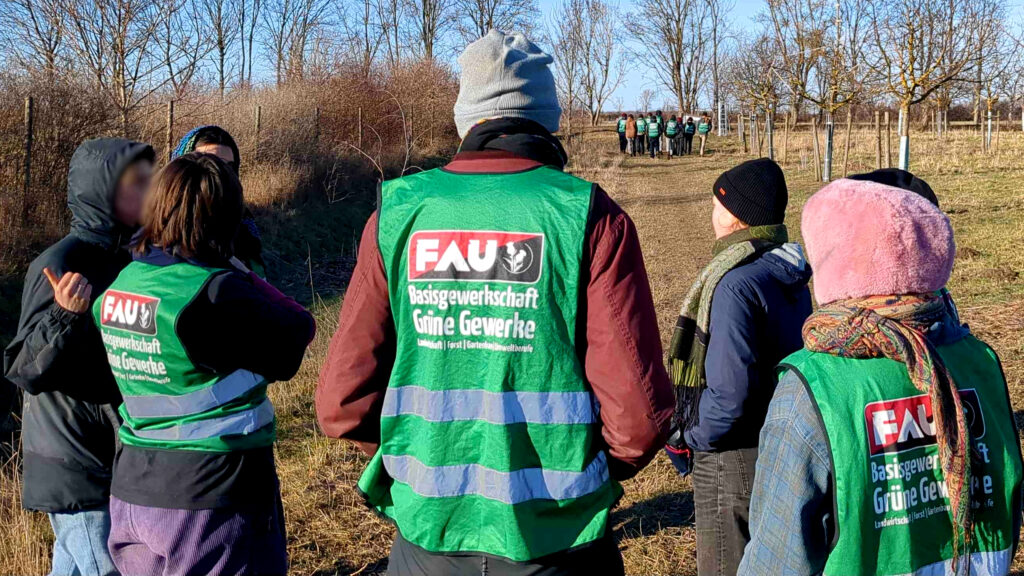 Umfrage: Welche Gewerkschaft brauchen SoLaWis?