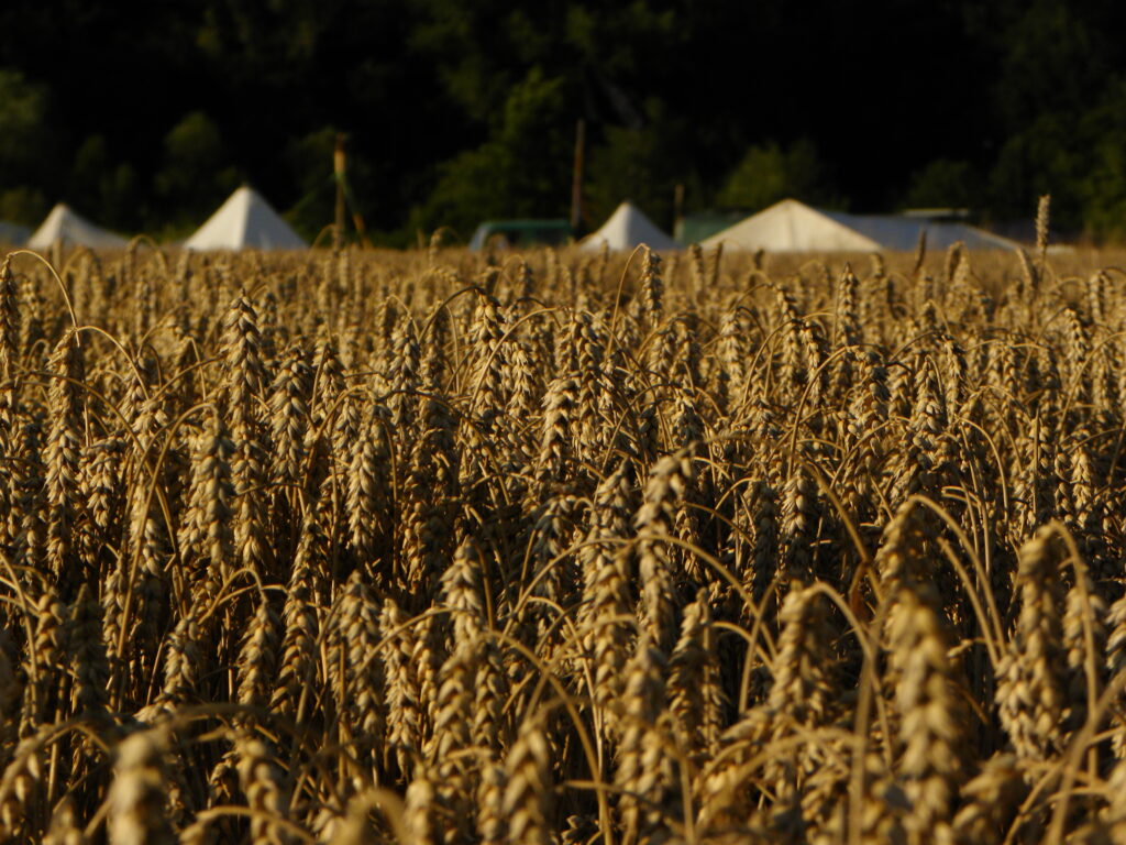 25.4.: IGG auf Klimacamp in Marburg