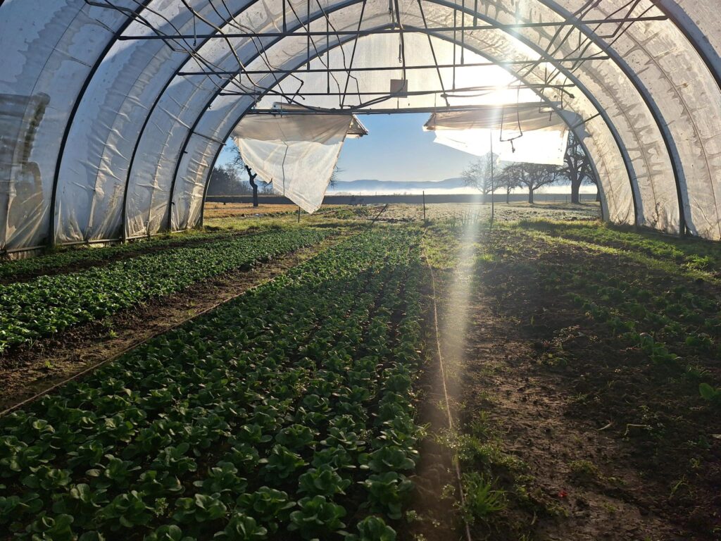 Update: Arbeitskampf Tübingen gewonnen, Kundgebung abgesagt