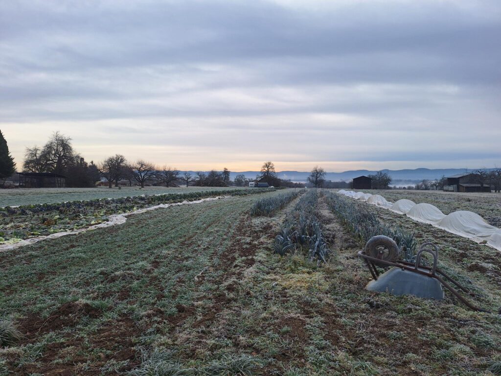 28.4.: Gewerkschaftliche Protestkundgebung am Berghof in Tübingen